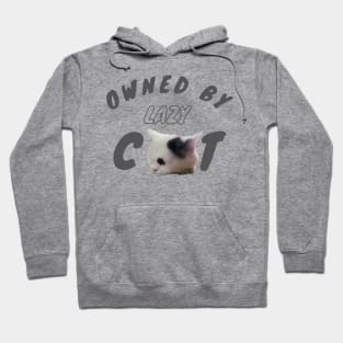 owned by lazy cat Hoodie